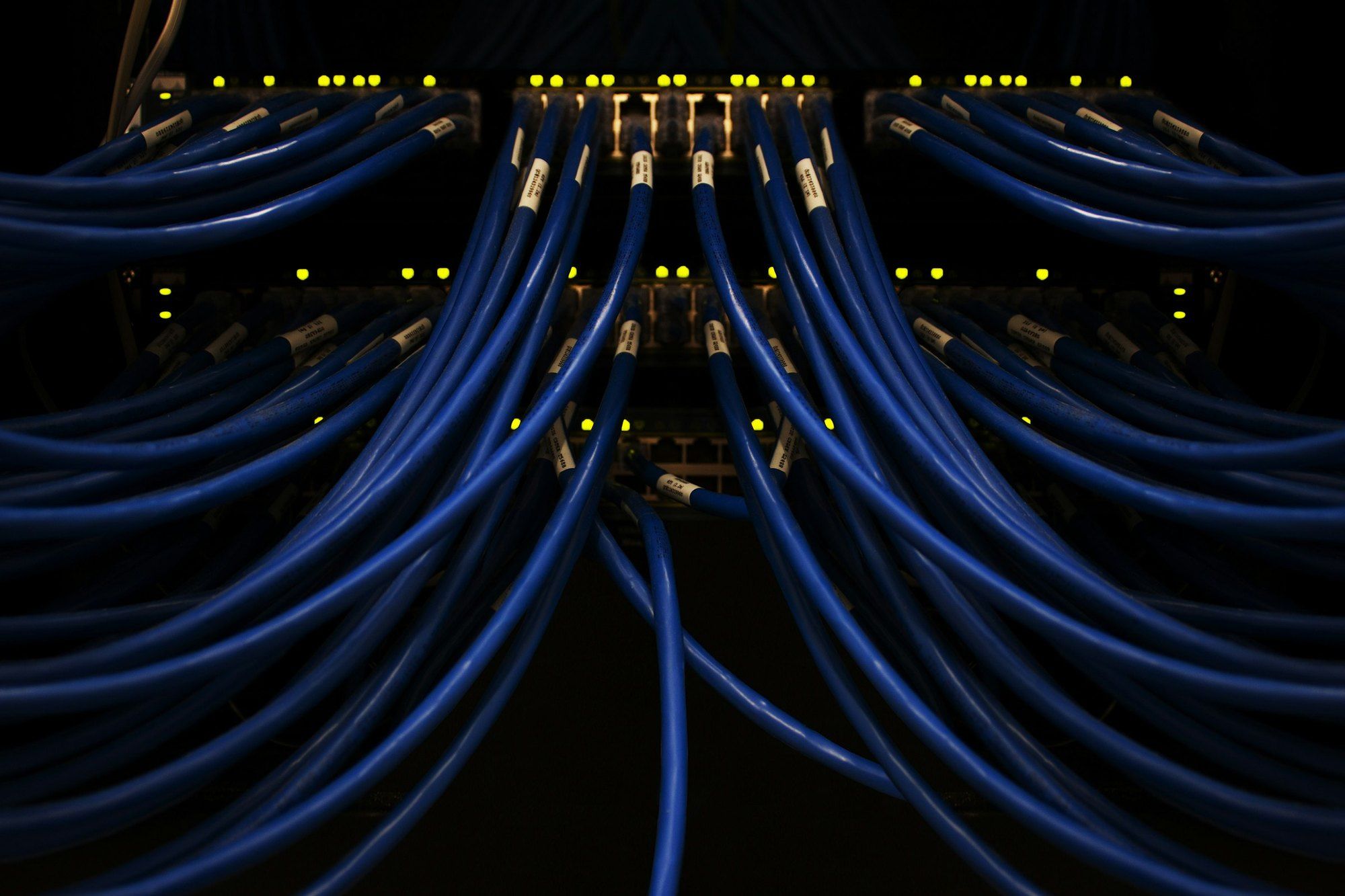 Bundles of blue network cable fall in order from a patch panel with yellow indicator lights, against a black background