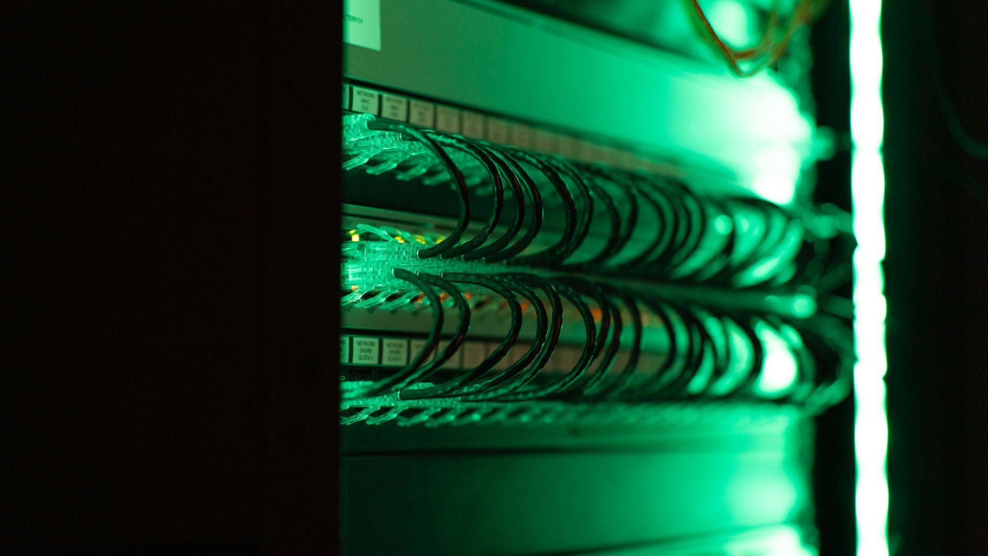 Patch panel with arched cables bathed in green light, with the left half of the image in black